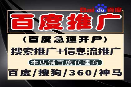 案例展示：SEM推广助力品牌知名度提升